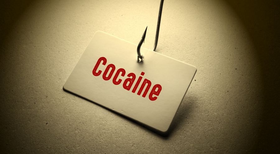 Liquide Premium pour Cigarette Électronique Narcos Cocaine
